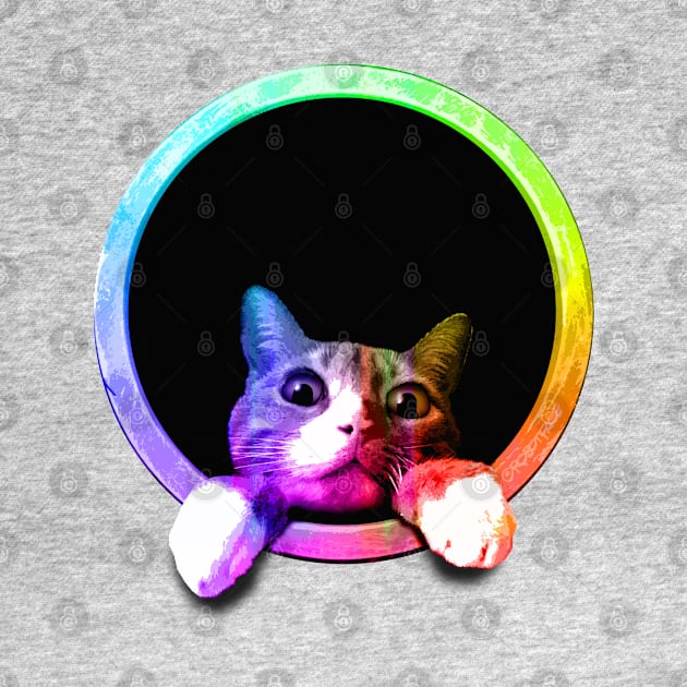 Peeking Circle Cat by robotface